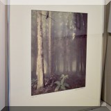 A11. Framed photo woods scene signed Richard M. Feldman. 22”h x 18”w - $34 